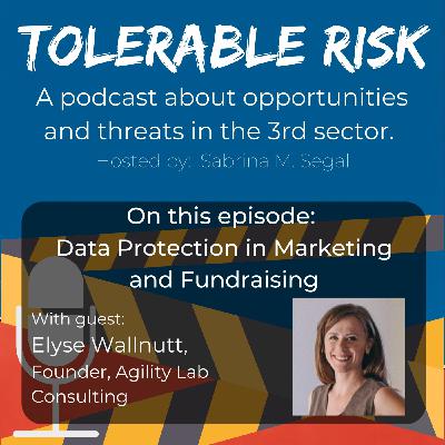 Episode 22: Tolerable Risk E022 - Elyse Wallnutt - Data Protection in Fundraising and Marketing