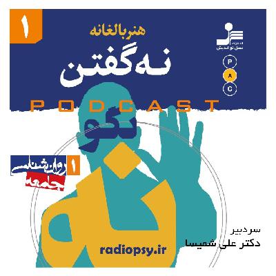 هنر بالغانه نه گفتن