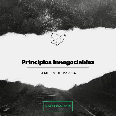 Principios Innegociables