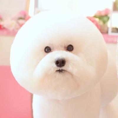 #17　サウナ旅　薪活　魚釣りイキタイの巻