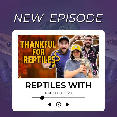 Our Reptile Journey & What We’re Thankful For | Reptiles With Podcast