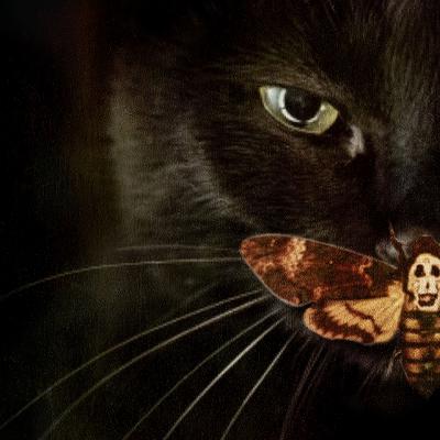 Лифтёр Лифтёр