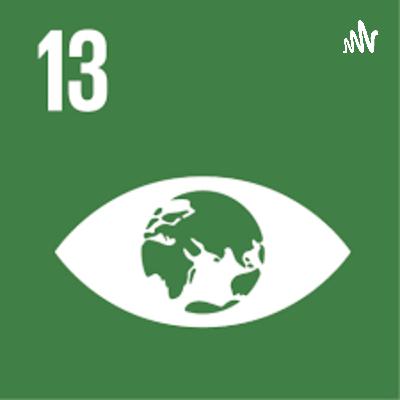 Objetivo 13: ACCIÓN POR EL CLIMA