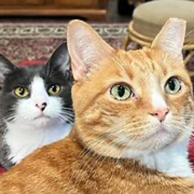 Episode 3024 CWSA 11-20-25