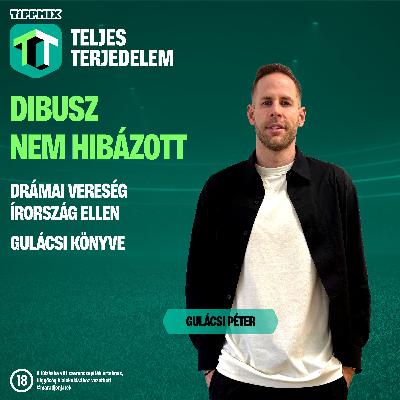 Gulácsi Péter: Dibusz nem hibázott! | Magyarország-Írország [Tippmix Teljes Terjedelem 018]