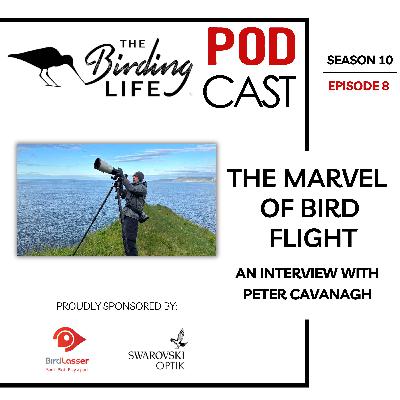 TBL Podcast Season 10 Episode 8 - The Marvel of Bird Flight An Interview with Peter Cavanagh