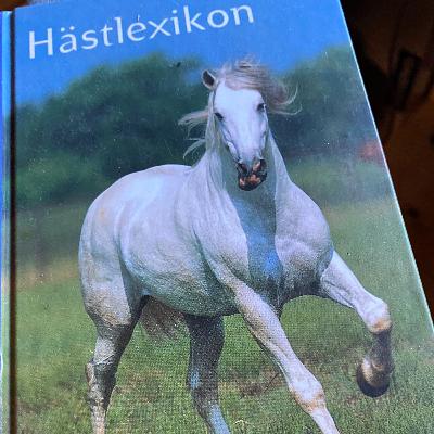 Min kära lilla favoritponny