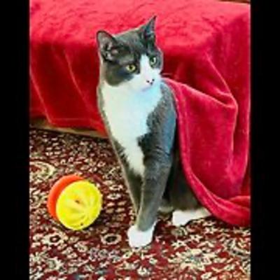 Episode 3040 CWSA 12/08/25 Episode 3040 CWSA 12/08/25