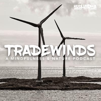 Ep. 7: All About Energy with David Yaffe