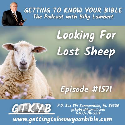 Looking For Lost Sheep