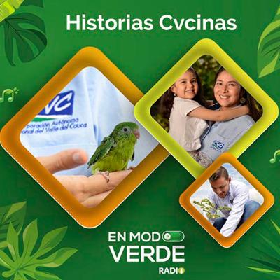 En el CAV de la CVC tratan de salvar un águila pescadora - En Modo Verde Radio En el CAV de la CVC tratan de salvar un águila pescadora - En Modo Verde Radio