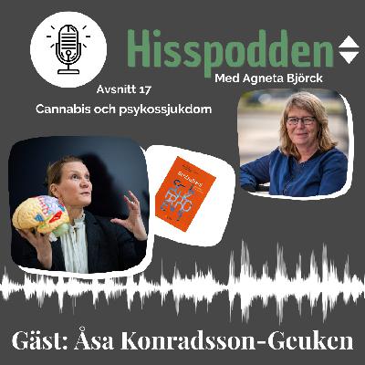 Cannabis och psykossjukdom - Åsa Konradsson-Geuken