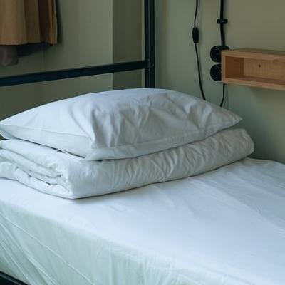 The cost of international protection accommodation