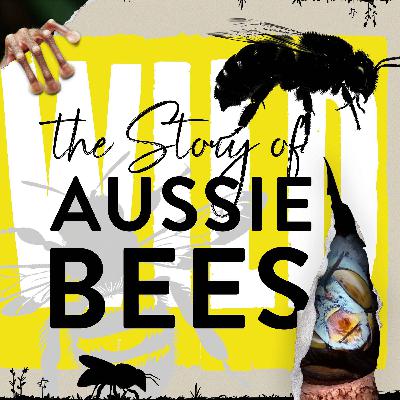 Saving 500 Invisible Species