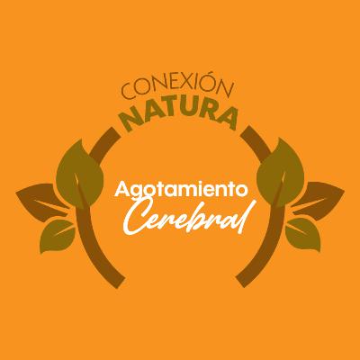 AGOTAMIENTO CEREBRAL AGOTAMIENTO CEREBRAL