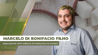 Exportações de açúcar da Índia podem aumentar e cotações caem