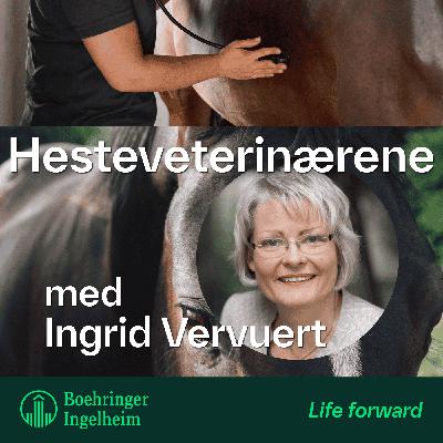 Klinisk ernæring med Ingrid Vervuert, episode 4 - Fôring av musklene
