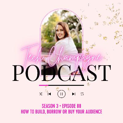 Episode 88 - How to Build, Borrow or Buy Your Audience