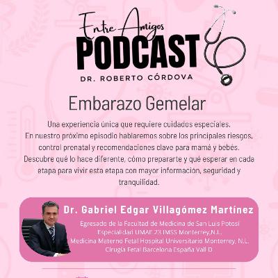 Embarazo Gemelar Embarazo Gemelar