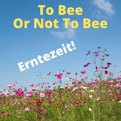 To Bee Or Not To Bee #12 To Bee Or Not To Bee #12