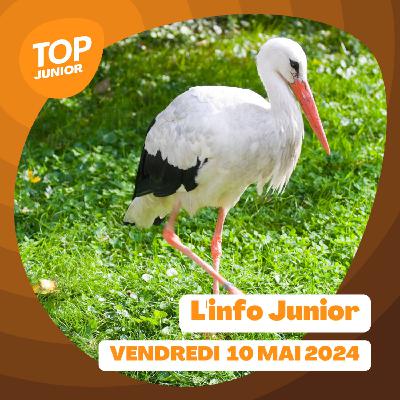 L’info Junior - vendredi 10 mai 2024 L’info Junior - vendredi 10 mai 2024
