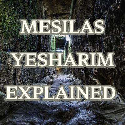 #06 - The Ramchal's Intro D - Mesilas Yesharim Explained