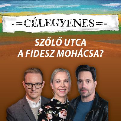 A Szőlő utca a Fidesz Mohácsa? – Célegyenes