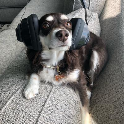 Poop dealer podcast episode 4 season 2: shitting in Walmart