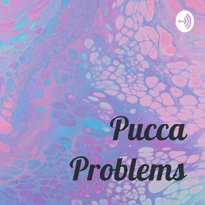 What is Pucca? What is Pucca?