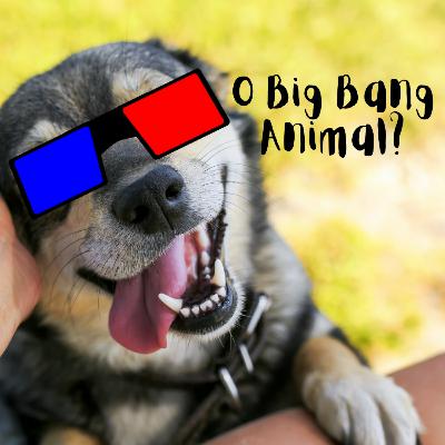 O Big Bang Animal?