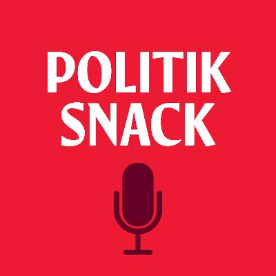 25. Kristdemokratisk konspirationsteori