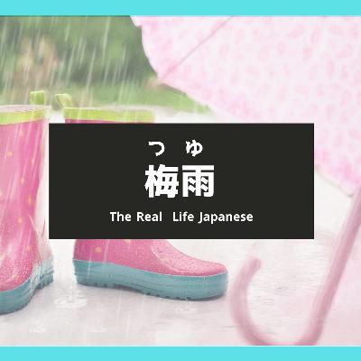 梅雨について