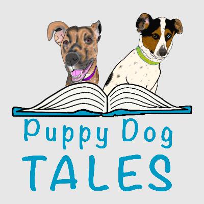 Episode 26- Brave Rescue: The Envigo 4,000