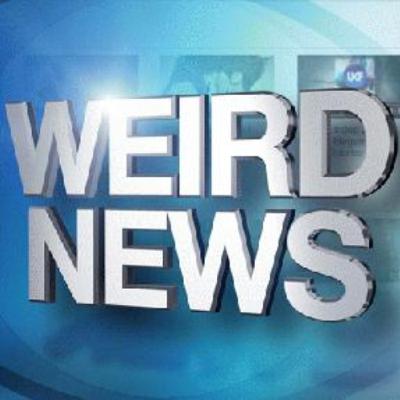 Weekly Weird News #231 (Bruce Forsyth's ghost haunts theatre/demonic ninja squirrel)