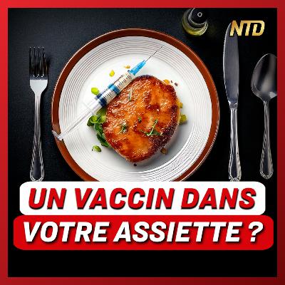 Les volailles françaises vaccinées par ARNm auto-amplifiant : y a-t-il un risque ? | NTD l'Actu Les volailles françaises vaccinées par ARNm auto-amplifiant : y a-t-il un risque ? | NTD l'Actu