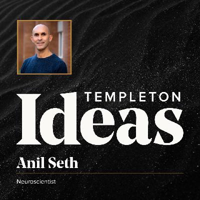 Anil Seth (Consciousness) | From The Archive