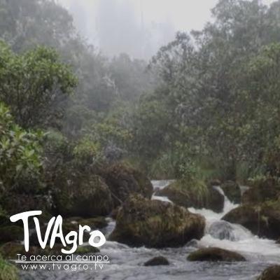 Turismo agroecológico en el Cañón de Las Hermosas Agua dulce y salada–TvAgro por Juan Gonzalo Angel Turismo agroecológico en el Cañón de Las Hermosas Agua dulce y salada–TvAgro por Juan Gonzalo Angel