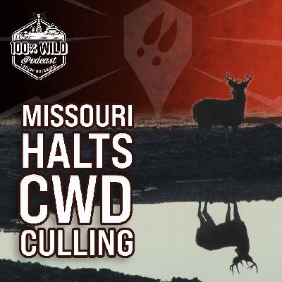 Is CWD Culling Over? Jason Sumners on the Future of Missouri Hunting |100% Wild Podcast Ep. 456