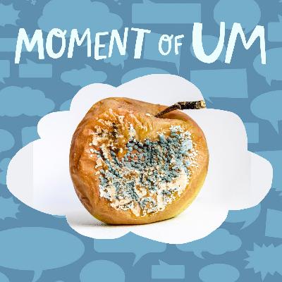 Why does mold have different colors? Why does mold have different colors?