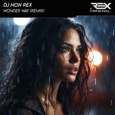 DJ Non Rex - Wonder Way (Remix)