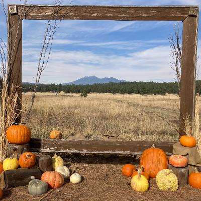 嬉しいことと凹むこと 嬉しいことと凹むこと