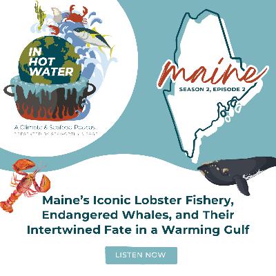 In Hot Water: Maine's Iconic Lobster Fishery, Endangered Whales, and Their Intertwined Fate in a Warming Gulf