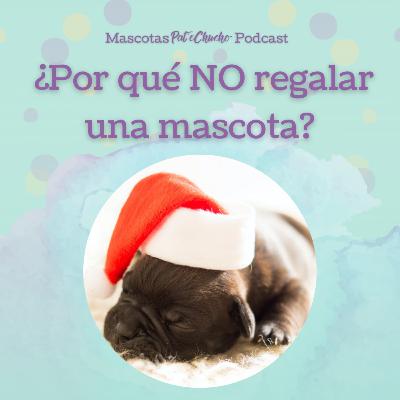 BONUS: ¿Por qué no regalar mascotas?