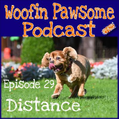 Distance - Episode 29 Distance - Episode 29