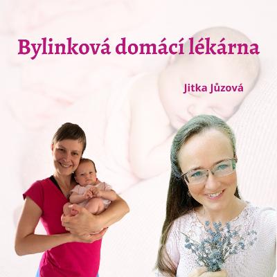 Bylinková domácí lékárna Bylinková domácí lékárna