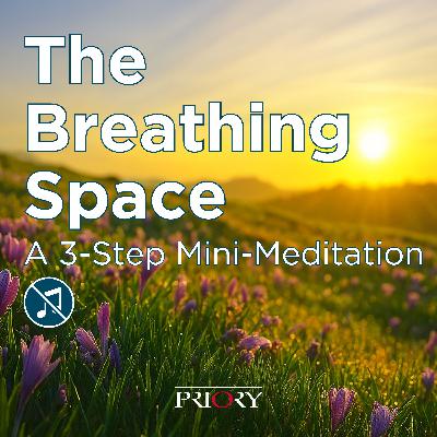 The Breathing Space - A 5 Minute Mini Meditation [NO MUSIC/SFX]