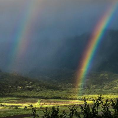 Nutcracker: A Flight With A Promise!