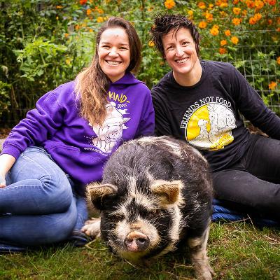 S3 Giving Haven to Animals Most in Need