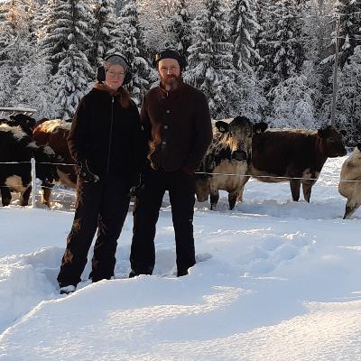 Åsa Vilhelmsson och Anders Assis om att regenerera landskap tillsammans med kor