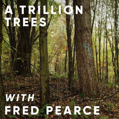 Special episode: A Trillion Trees with Fred Pearce
